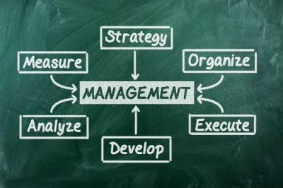 Small Business Owners What Management Type Are You?
