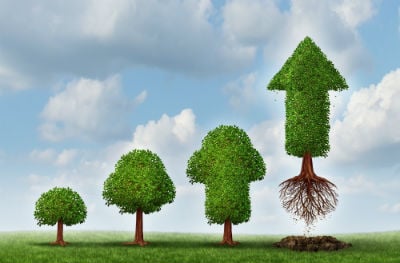 Grow Your Small Business