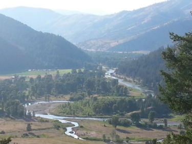 Missoula Small Business Consultant