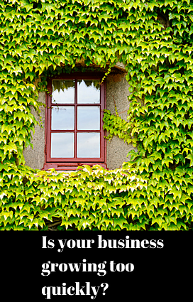 How to Grow Your Small Business Out of Business