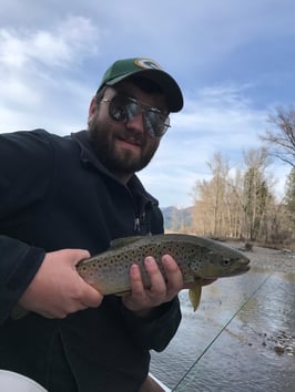 Catching a monster brown on a fly rod in Montana.