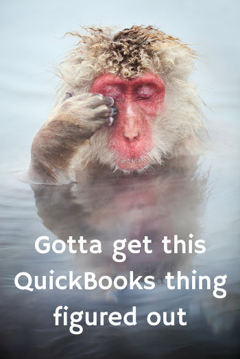 Gotta get this QuickBooks thing figured out