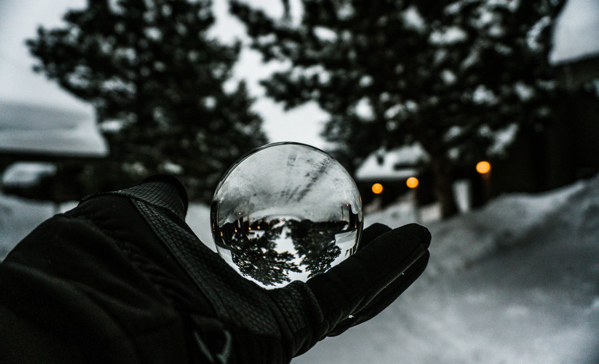 marcus-bellamy-MUi1ap7_GMc-unsplash marcus-bellamy-MUi1ap7_GMc-unsplash