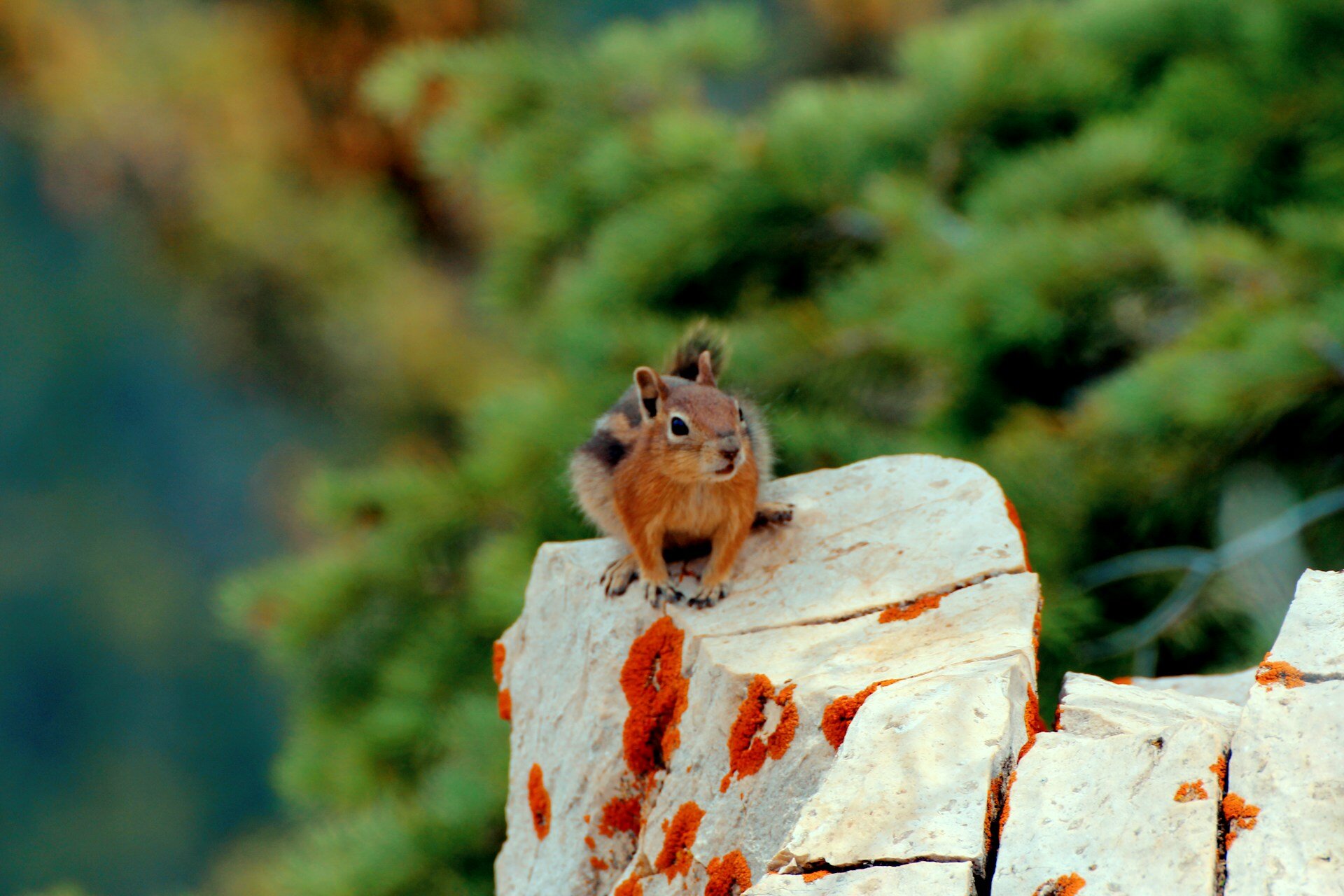 mattia-bericchia-aEtTY9dqU2k-unsplash