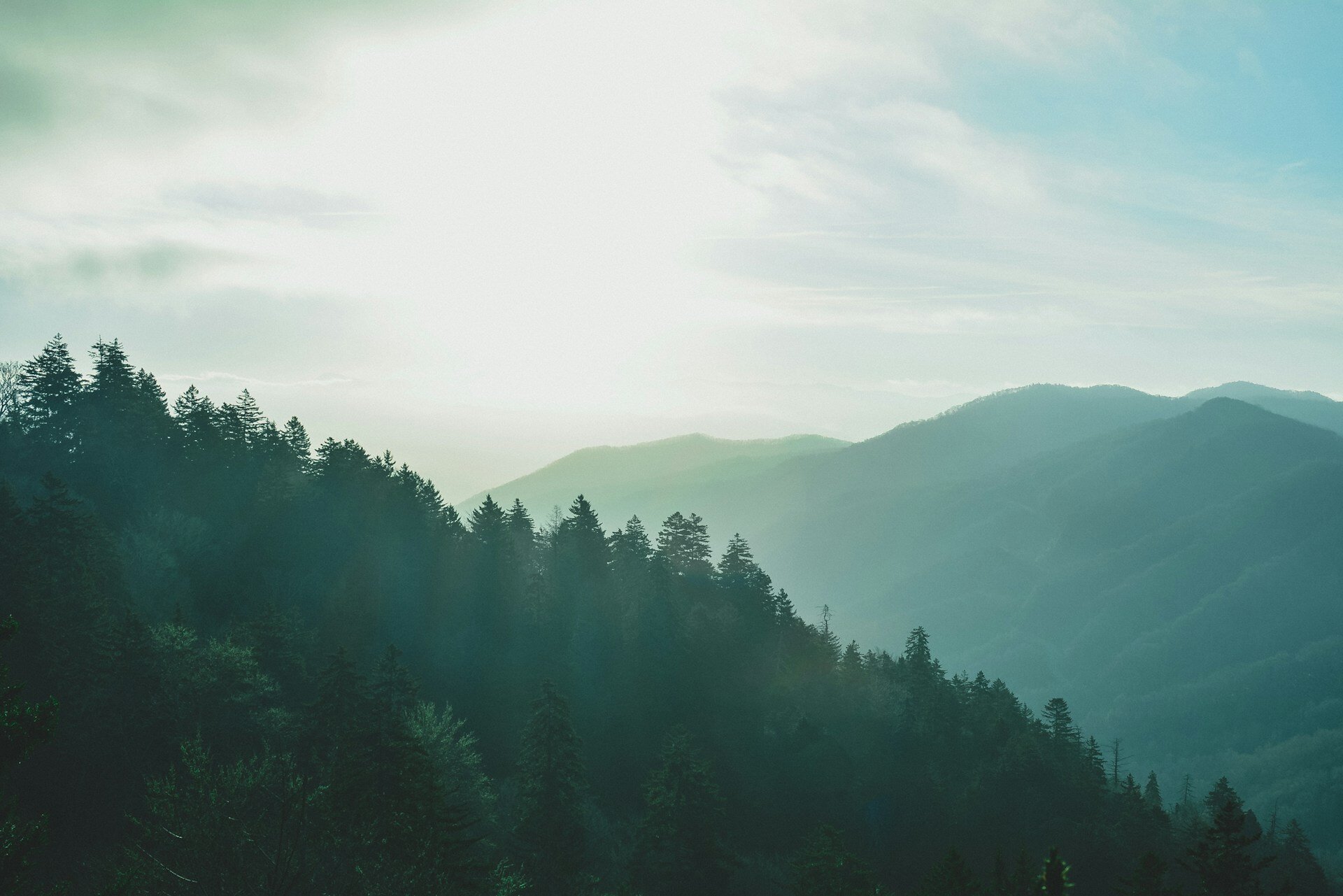 rachel-davis-SZbSyPX3Lsk-unsplash