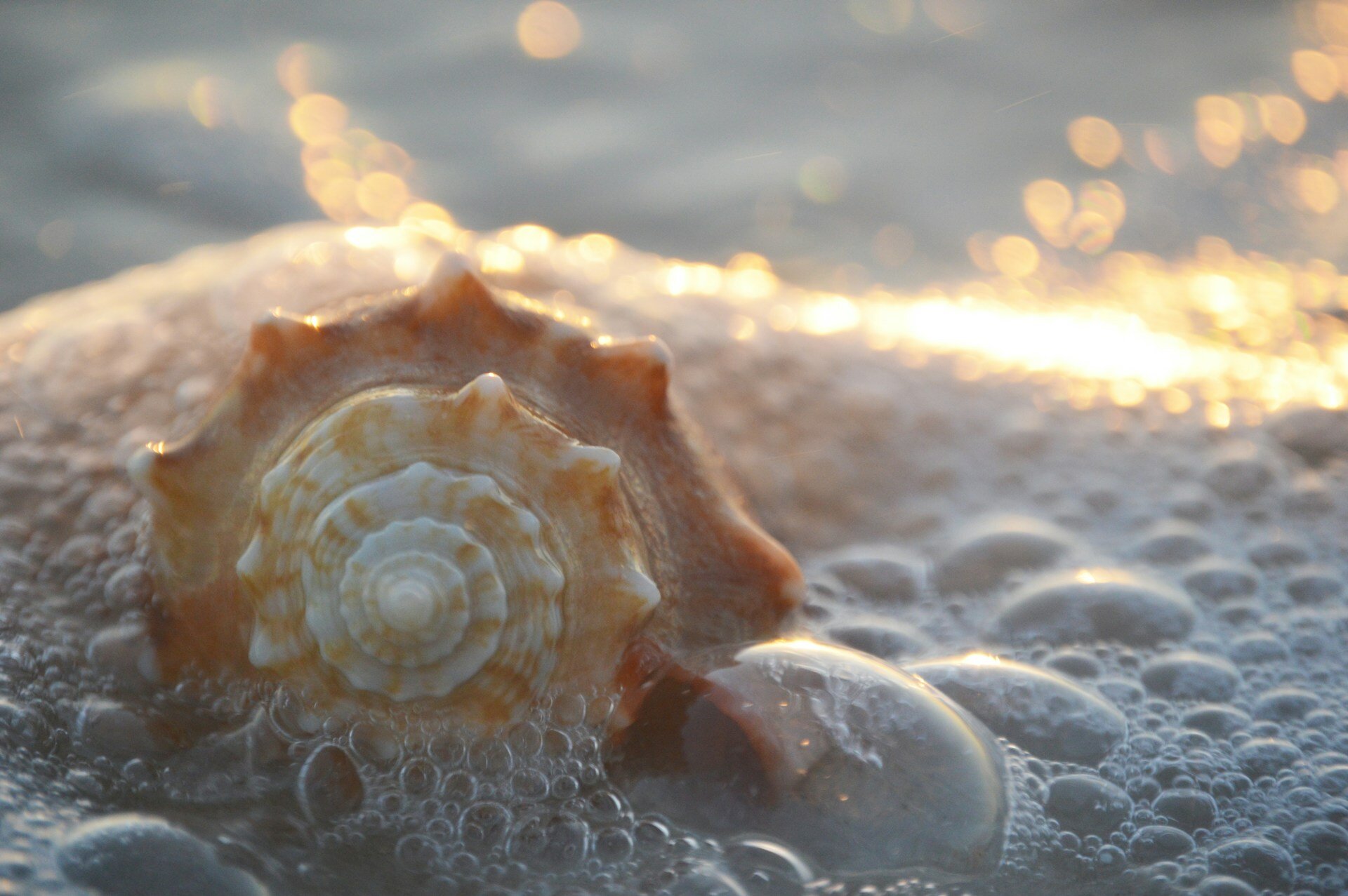 sara-granger-XVNOksPt-Ks-unsplash sara-granger-XVNOksPt-Ks-unsplash