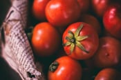 Credit memo for bad tomatoes
