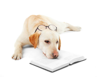 Small_Business_Bookkeeping_Clean_Up_SLC